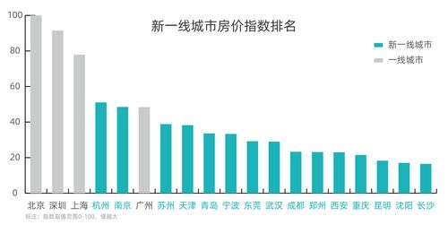 新澳现场开奖结果查询表|探索城市的秘密角落_XP款.6.816