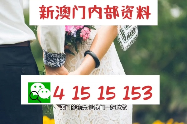 2024年新澳门正版免费大全|决策资料解释落实_实况款.3.528